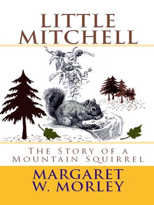 cover image of Little Mitchell